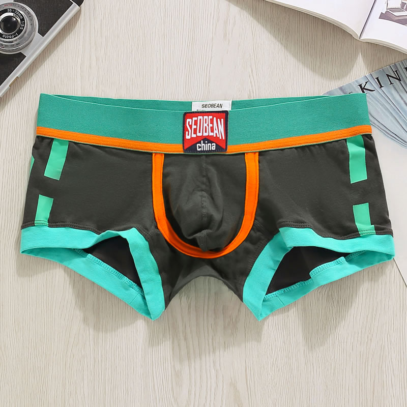 Bielizna męska Szorty Bokserki – Boxer Brief Pack Cotton recenzja i cena