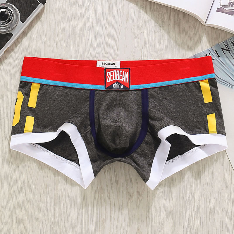 Bielizna męska Szorty Bokserki – Boxer Brief Pack Cotton recenzja i cena