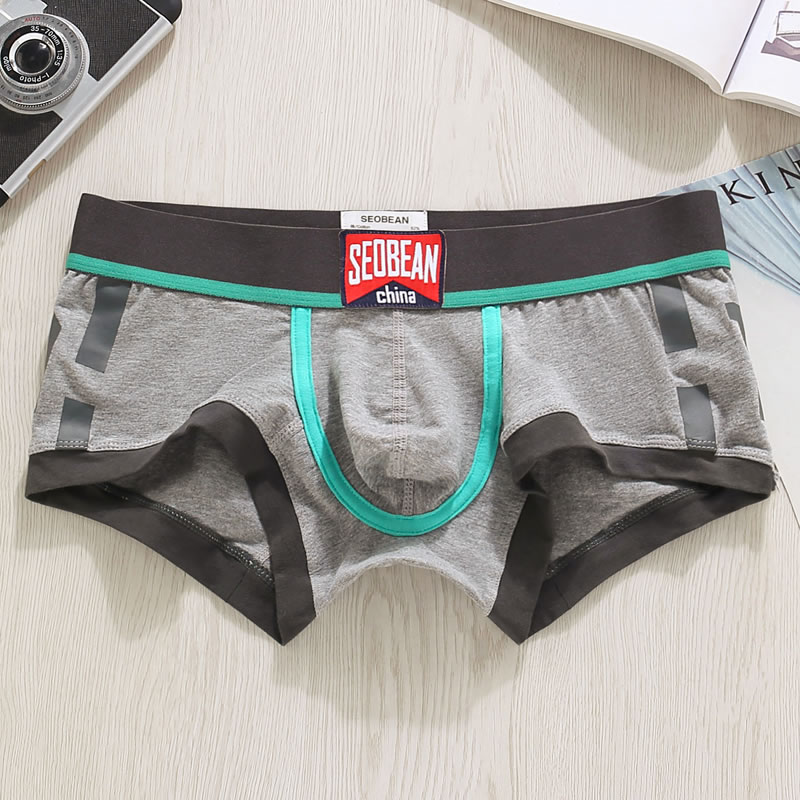Bielizna męska Szorty Bokserki – Boxer Brief Pack Cotton recenzja i cena