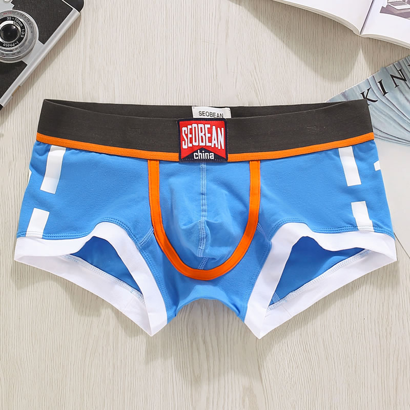 Bielizna męska Szorty Bokserki – Boxer Brief Pack Cotton recenzja i cena
