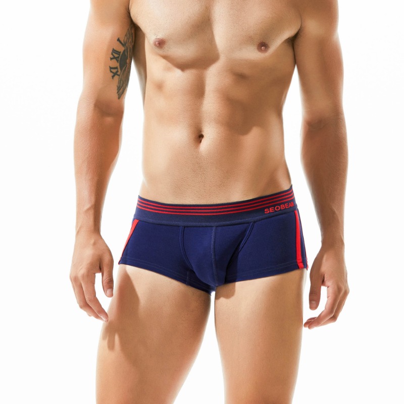 Prosty jednolity kolor, bokser – Boxer Brief Pack Cotton recenzja i cena